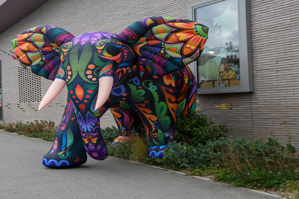 Enfance et jeunesse en fête 2025 Enfance et jeunesse en fête 2025
