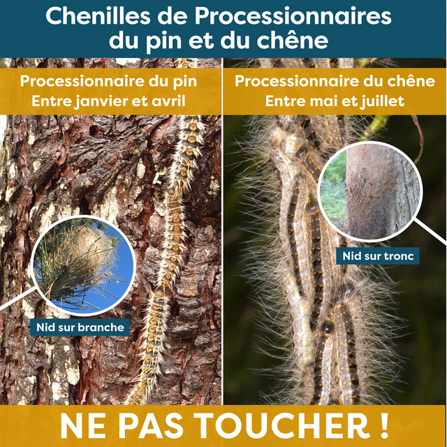 SENS02_CP_Affiche.indd