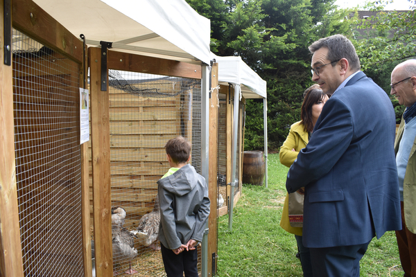 Salon de l'animal en ville 2019