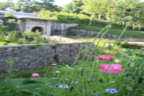 Le Fort en fleurs