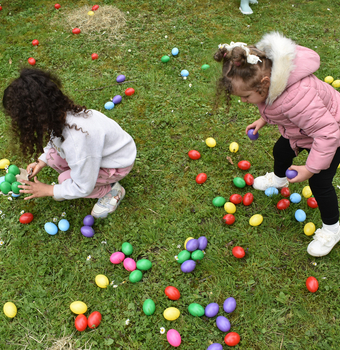 chasse-aux-oeufs-2026 21