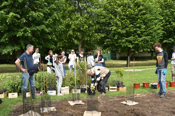 Opération Forêt citoyenne 2019