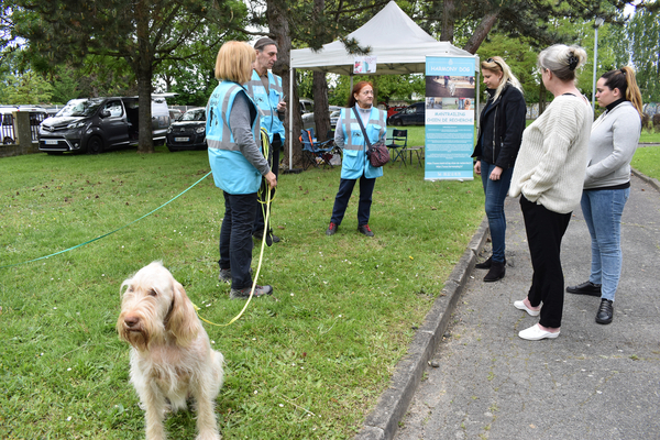 Salon de l'animal en ville 2019