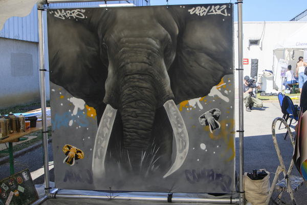 Fête aux 1000 couleurs 2025 Fête aux 1000 couleurs 2025